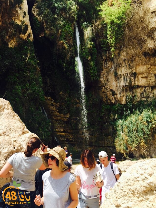 re7la ba7r maiyet (25).jpg